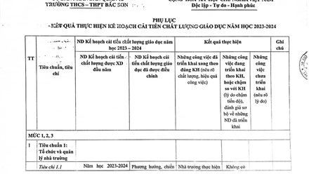 Phụ lục kết quả thực hiện kế hoạch cải tiến chất lượng giáo dục năm 2023-2024